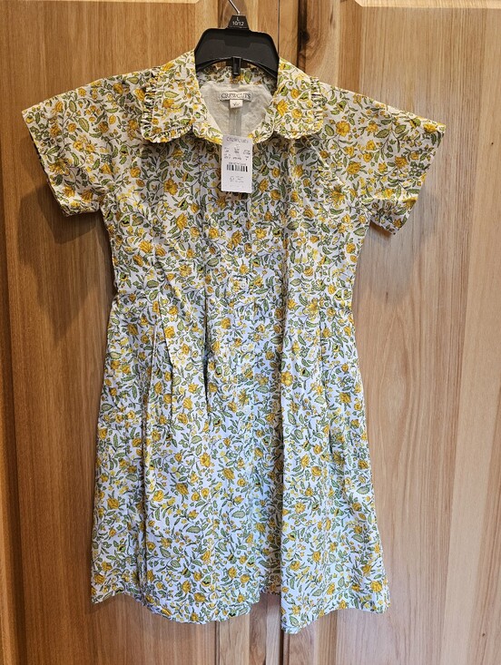 Crewcuts Other - NWT Crewcuts Summer Dress